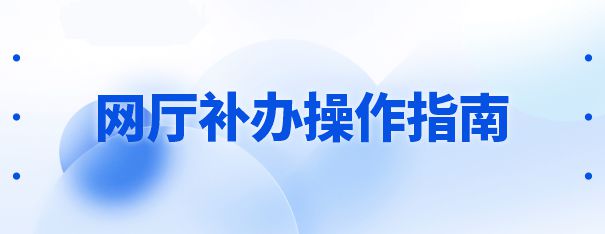  网厅补办操作指南